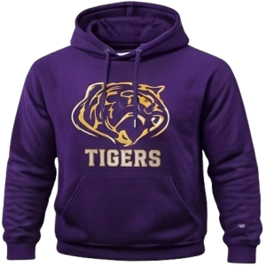 Team Hoodie