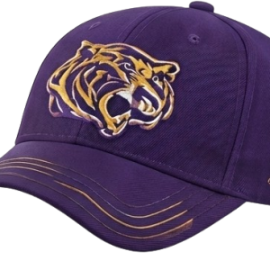 Tigers Cap